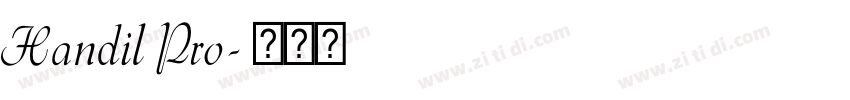 Handil Pro字体转换